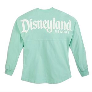 Disneyland resort spirit jersey